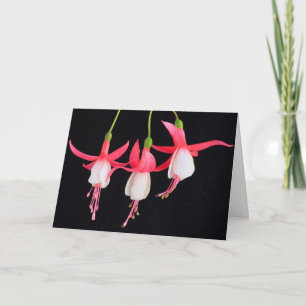 Feel Better Floral Fuchsia Get Well Card
