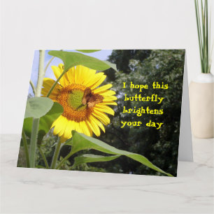 Feel Better from Group Butterfly Big Card