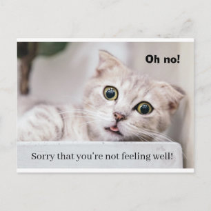 Feel Better Kitty Postcard