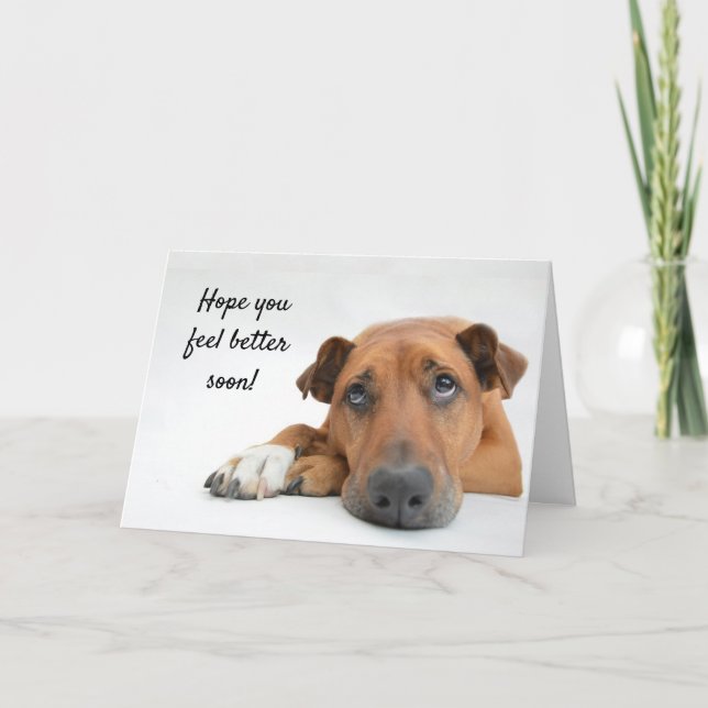 Feel Better Soon Sad Dog Get Well Card (Front)