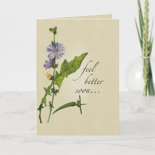 Feel Better Wildflowers, Religious Tone Card