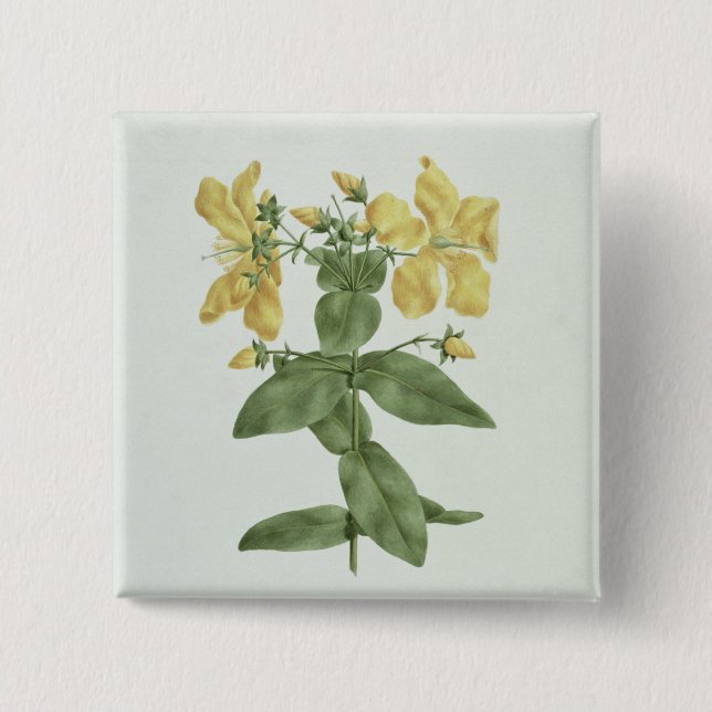 Feel-Fetch (Hypericum quartinianum) (w/c over grap 15 Cm Square Badge (Front)