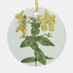 Feel-Fetch (Hypericum quartinianum) (w/c over grap Ceramic Ornament