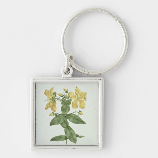 Feel-Fetch (Hypericum quartinianum) (w/c over grap Key Ring (Front)
