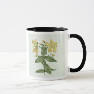 Feel-Fetch (Hypericum quartinianum) (w/c over grap Mug