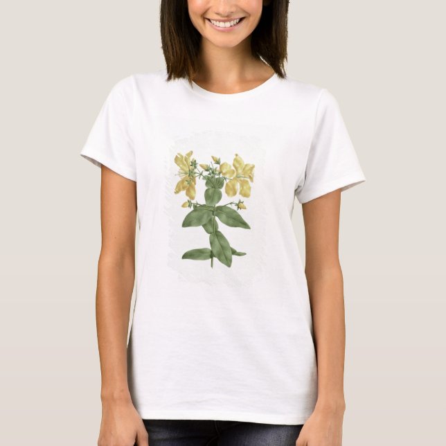 Feel-Fetch (Hypericum quartinianum) (w/c over grap T-Shirt (Front)