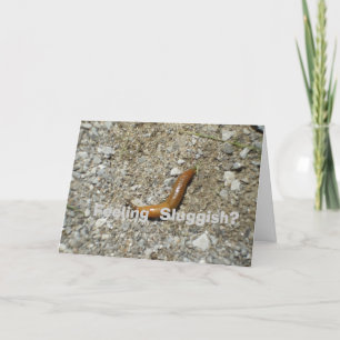 Feel Sluggish? Slug on Cement Card