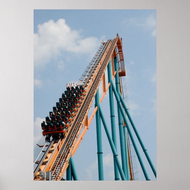 Feel the G-forice Of A Rollercoaster Poster (Front)