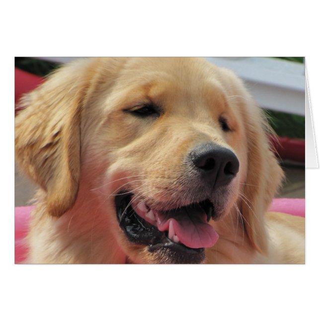 Feelin' Fine (Front Horizontal)