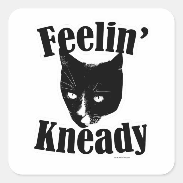 Feelin Kneady Funny Cat Cute Photo Slogan Square Sticker (Front)