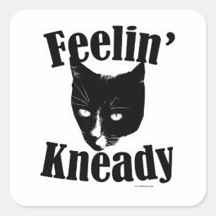 Feelin Kneady Funny Cat Square Sticker
