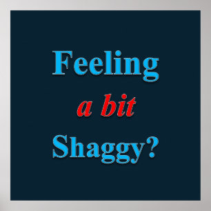 Feeling a Bit Shaggy Poster Matte