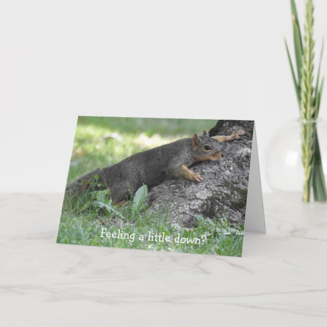 Feeling a little down? Cute Squirrel  Card (Front)