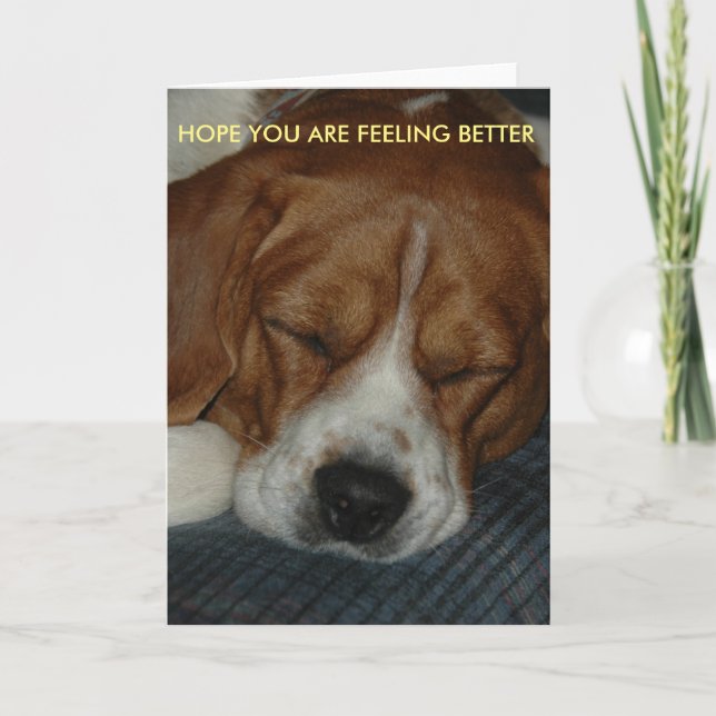 Feeling Better card with beagle (Front)