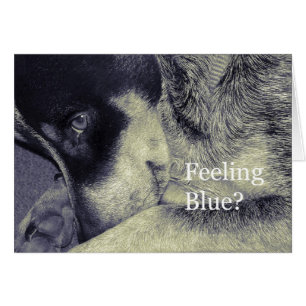Feeling Blue