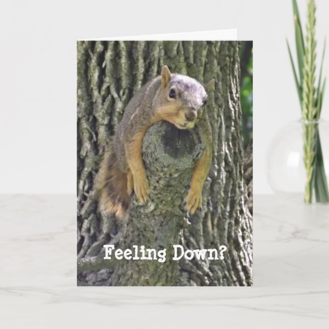 Feeling Down? Hang in There support Card (Front)