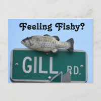 Feeling Fishy?