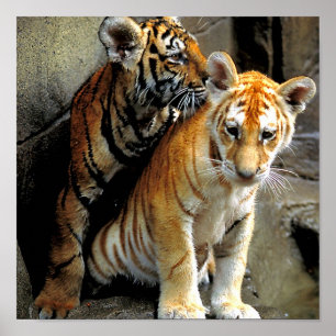 Feeling Frisky ? Poster