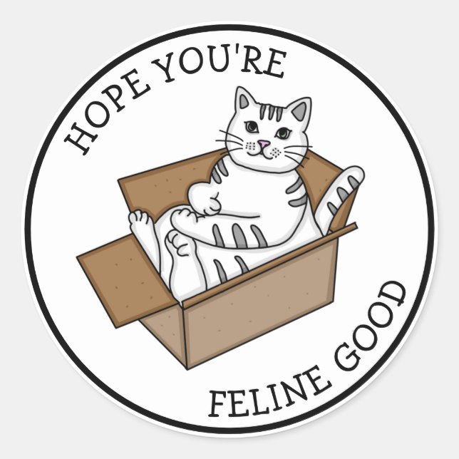 Feeling Good | Get Well | White Cat Classic Round Sticker (Front)