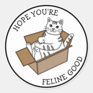 Feeling Good   Get Well   White Cat Classic Round Sticker