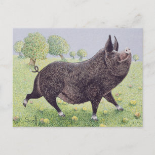 Feeling Great Postcard