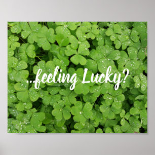 Feeling lucky? green clover poster