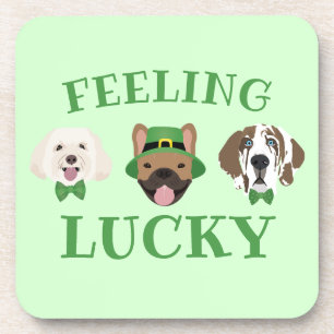 Feeling Lucky St Patricks Day Dog Faces Coaster