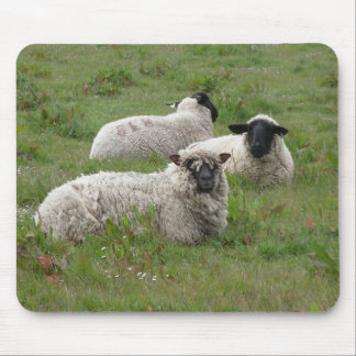 Feeling Sheepish Mouse Pad