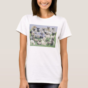 Feeling Sheepish T-Shirt