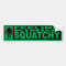 FEELING SQUATCHY Bumper Sticker - Gone Squatchin