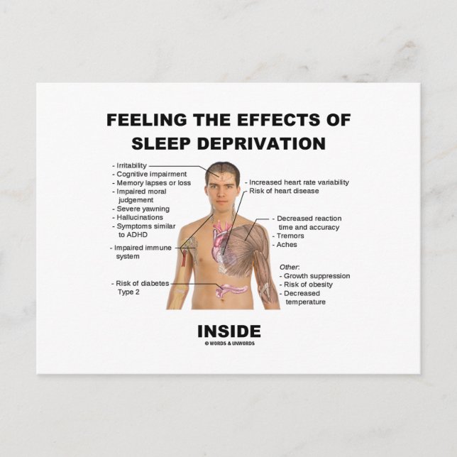 Feeling The Effects Of Sleep Deprivation Inside Postcard (Front)