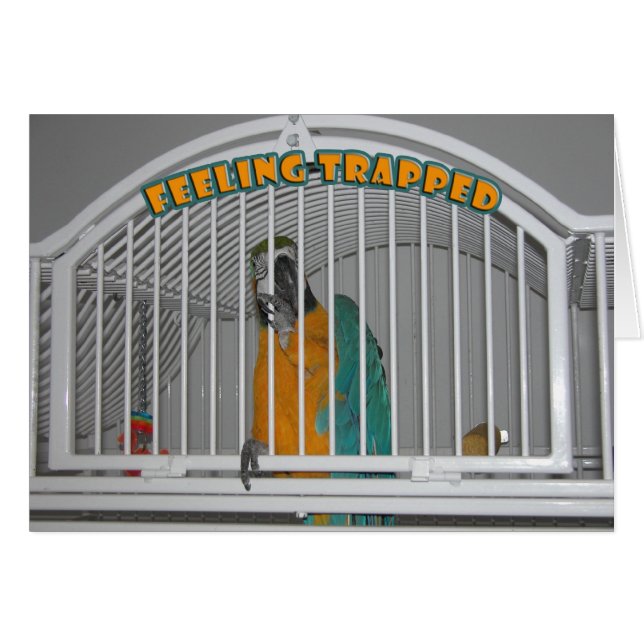 Feeling Trapped (Front Horizontal)