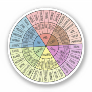 Feelings Are Valid, Self Care, Mental Health Gift