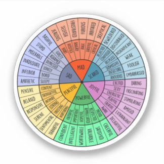 Feelings Are Valid, Self Care, Mental Health Gift