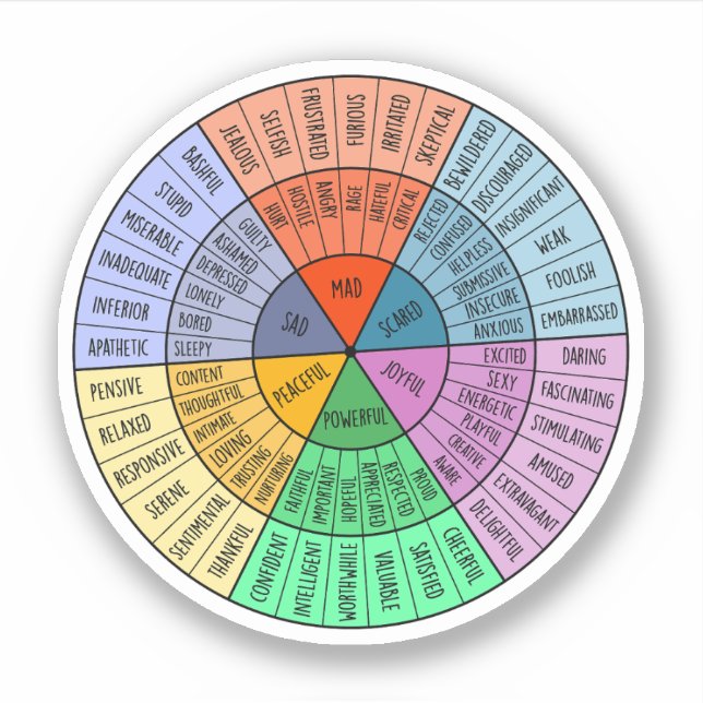 Feelings Are Valid, Self Care, Mental Health Gift (Front)