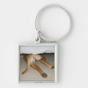 Feet and tail of yellow lab dog hidden under bed key ring