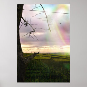 Feilds of Bali Poster