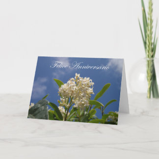 Felice Anniversario - Happy Anniversary Card