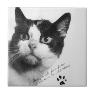 Félicette: The First Cat in Space Ceramic Tile