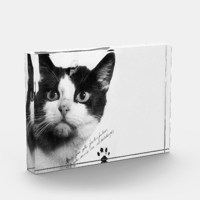 Félicette: The First Cat in Space Photo Block (Left)