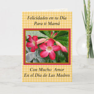 Felicidades Mama en el Dia de Las Madres 1021 Card