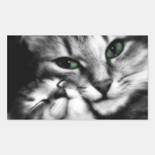 Feline Affection Rectangular Sticker (Front)