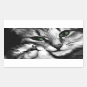 Feline Affection Rectangular Sticker