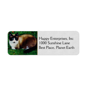 Feline Beauty Return Address Label