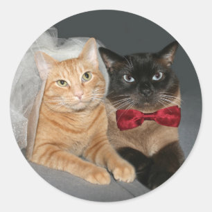 Feline Bride and Groom Classic Round Sticker
