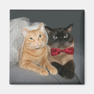 Feline bride and groom magnet