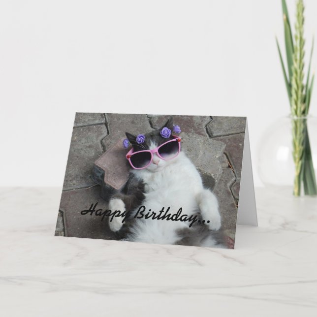Feline Diva Birthday Card (Front)