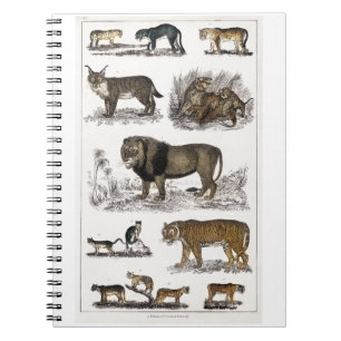 Feline family Picture Ledge Notebook