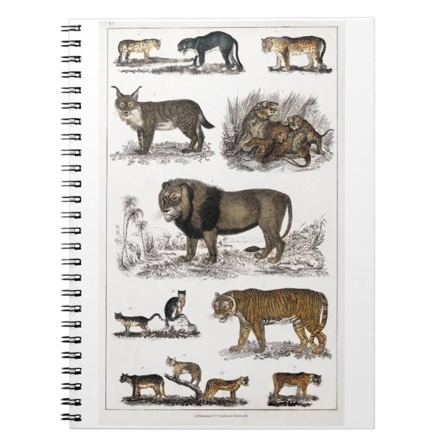 Feline family  Picture Ledge Notebook (Front)