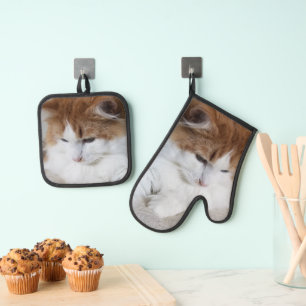(Feline Fancy) Kitty Contemplation: Cat Photo Oven Mitt & Pot Holder Set